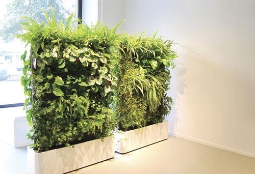 دیوار سبز باغی جذاب در دکوراسیون داخلی منزل شما