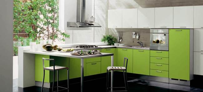 چاشنی سبز در آشپزخانه