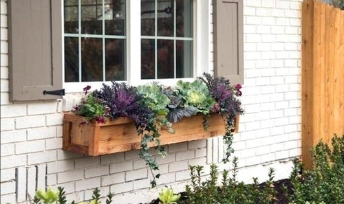 تزیین پنجره های رو به خیابان با استفاده از گل ها و گیاهان زینتی