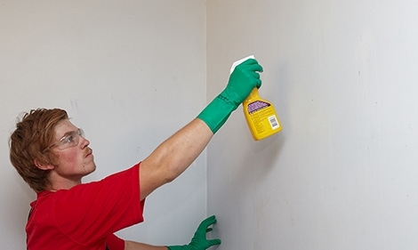 روش هایی ساده و راحت برای تمیز کردن دیوار های خانه